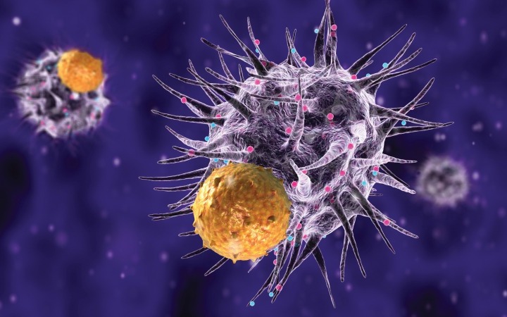 Foto fondazioneveronesi.it