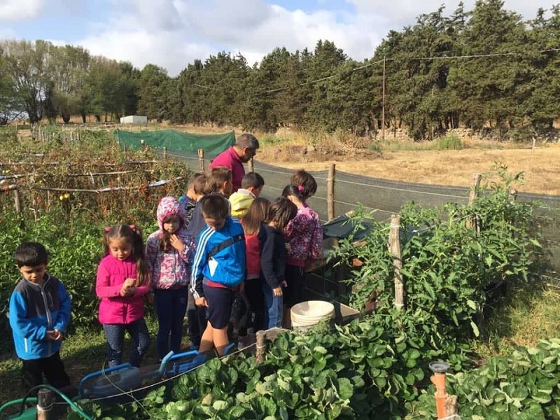 bambini-orti-sociali-macomer.jpg