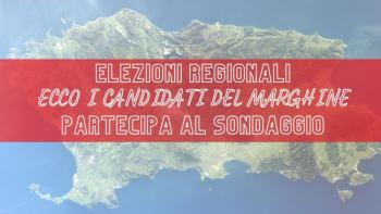 elezioni-regionali-sardegna-domenica-25-febbraio-WgKzR7.jpg